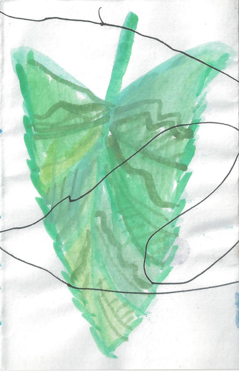 [a green leaf appears, the lines continue]
